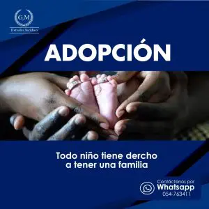 ADOPCIÓN MENOR EDAD